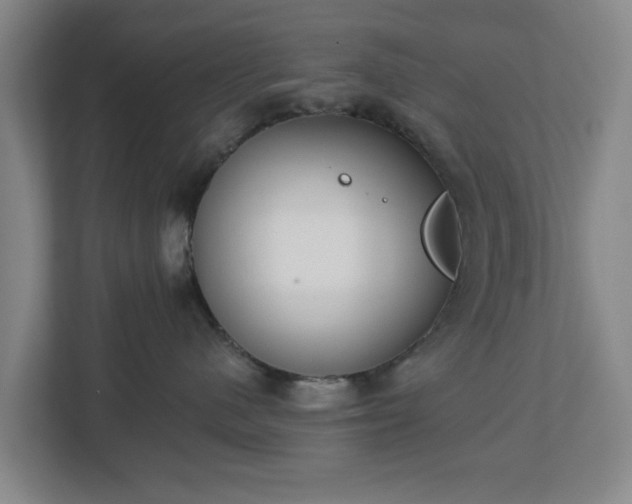 X0000113100480200909041230