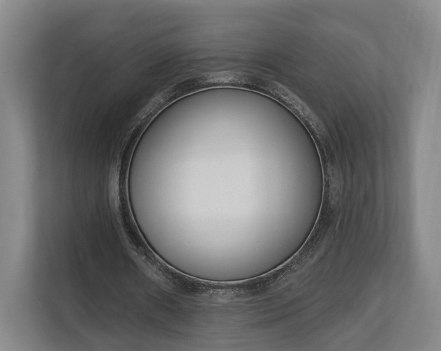 X0000113100482200909041229