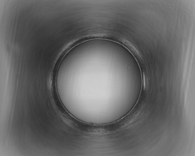 X0000113100483200909041229