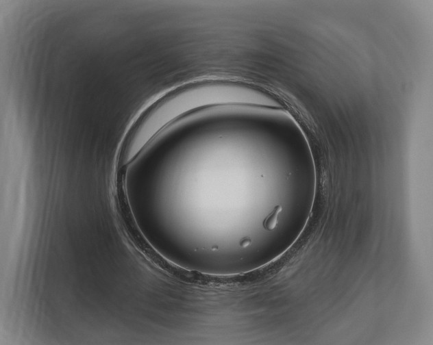 X0000113100484200909041229