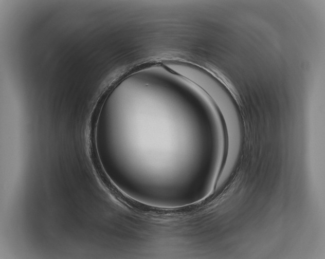 X0000113100485200909041229