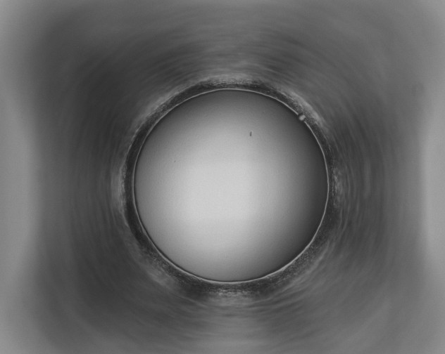 X0000113100487200909041229