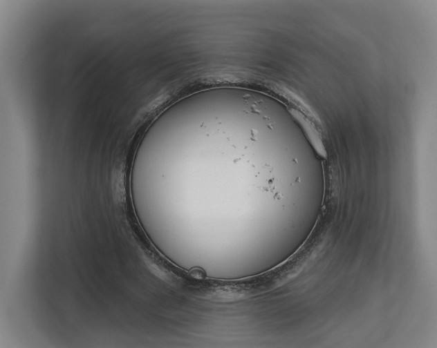 X0000113100489200909041229