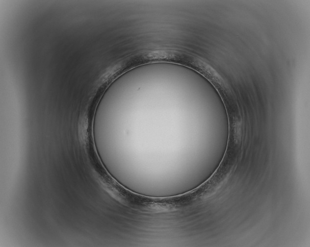 X0000113100490200909041229