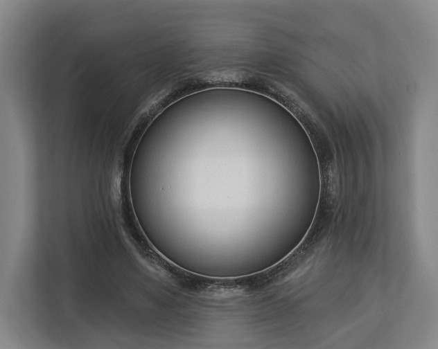 X0000113100491200909041229