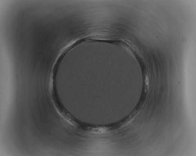 X0000113100492200909041229