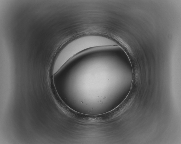 X0000113100493200909041229