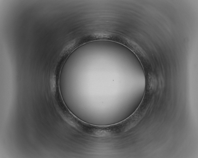 X0000113100494200909041229