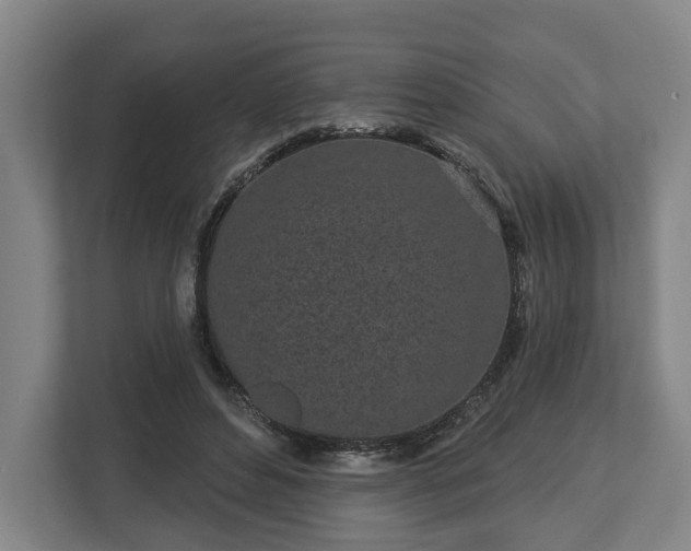 X0000113100496200909041229