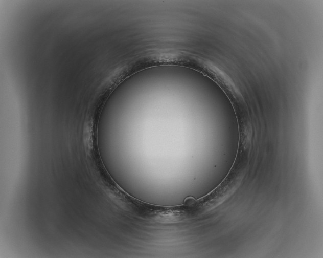 X0000113100497200909041229
