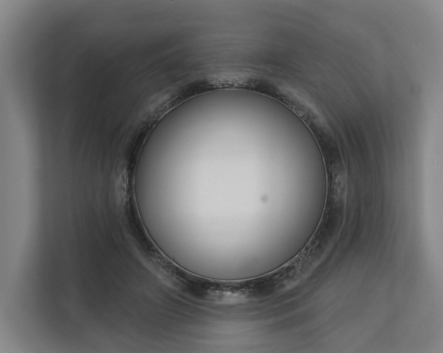 X0000113100498200909041229