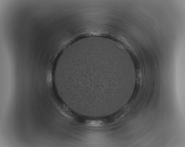 X0000113100500200909041229