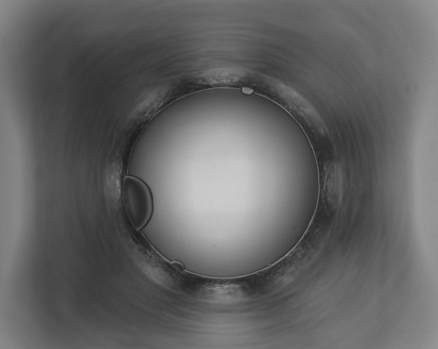 X0000113100501200909041229