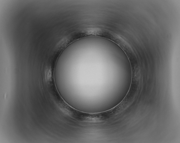 X0000113100502200909041229