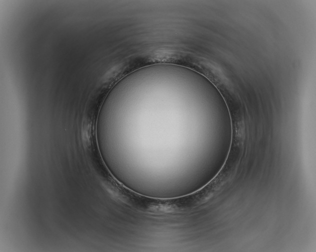 X0000113100503200909041229