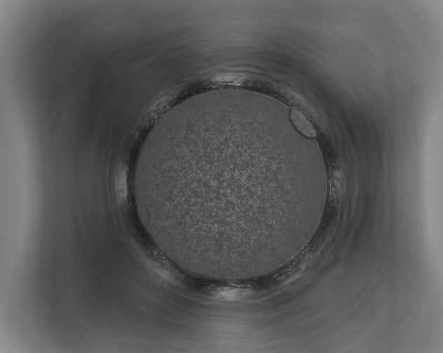 X0000113100504200909041229