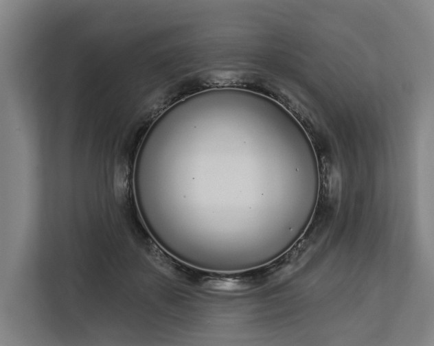 X0000113100507200909041229
