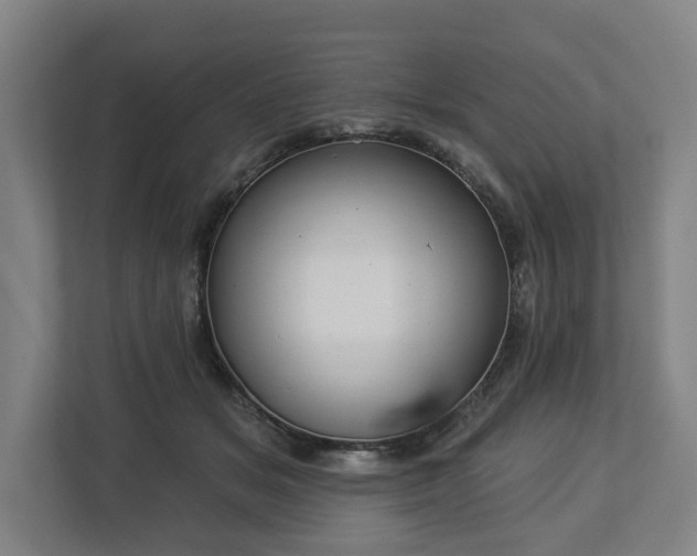 X0000113100509200909041229
