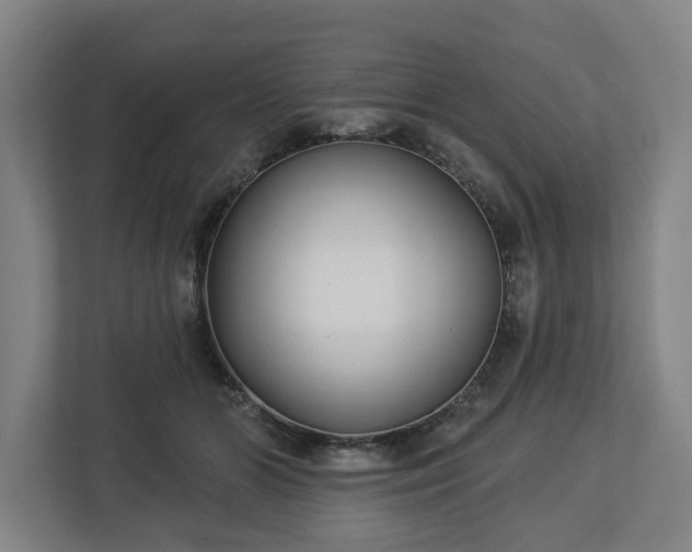 X0000113100510200909041229