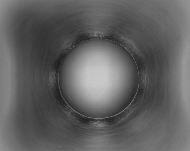X0000113100511200909041229