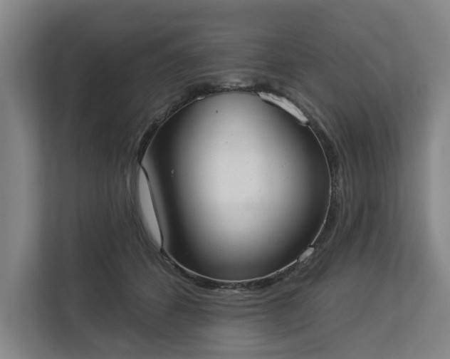 X0000113100512200909041229