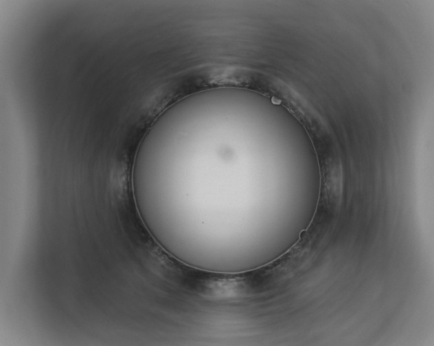 X0000113100513200909041229