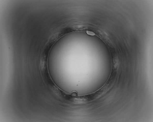 X0000113100515200909041229