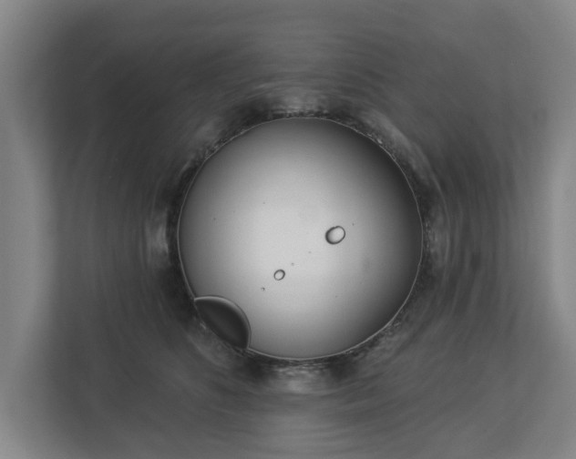 X0000113100516200909041229
