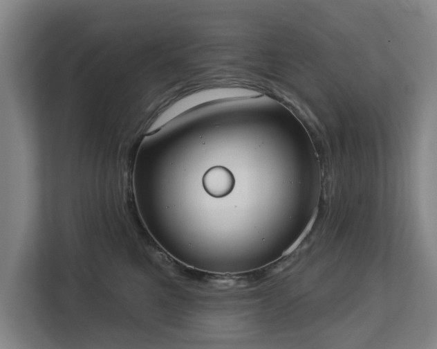 X0000113100521200909041228