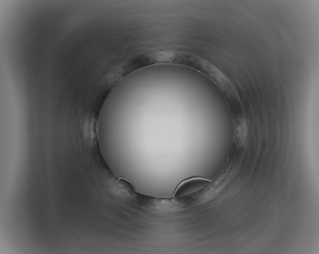 X0000113100525200909041228