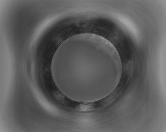 X0000113100526200909041228