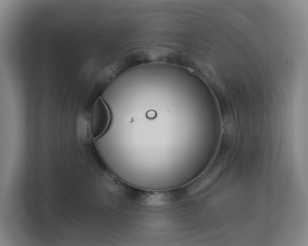 X0000113100527200909041228