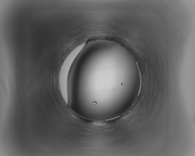 X0000113100528200909041228