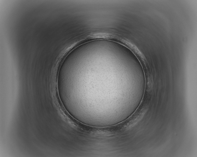 X0000113100529200909041228