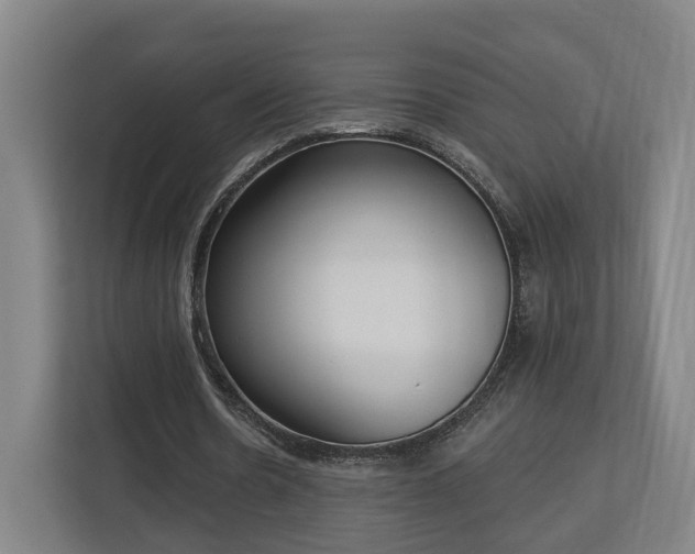 X0000113100530200909041228