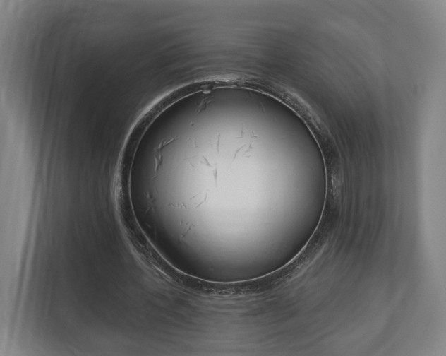 X0000113100532200909041228