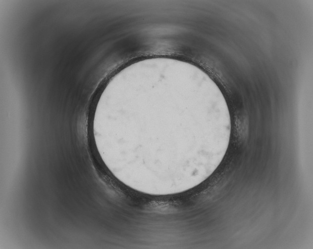 X0000113100534200909041228