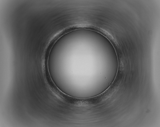 X0000113100535200909041228
