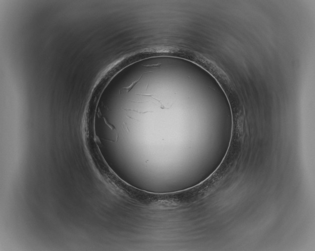 X0000113100536200909041228