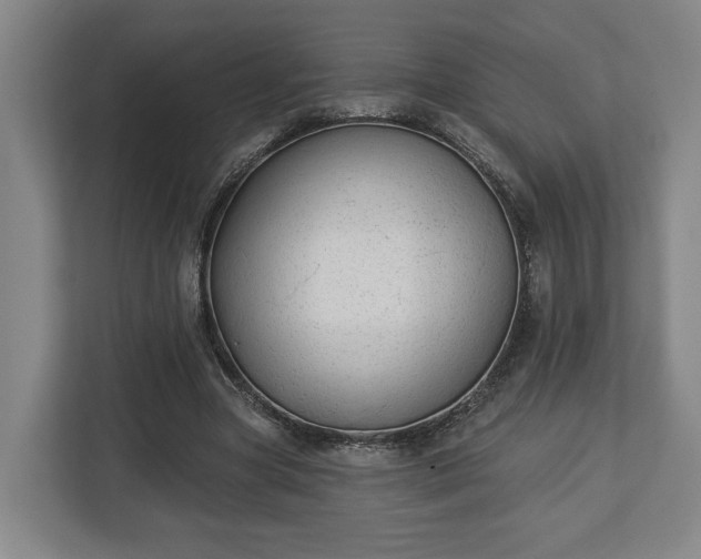 X0000113100537200909041228