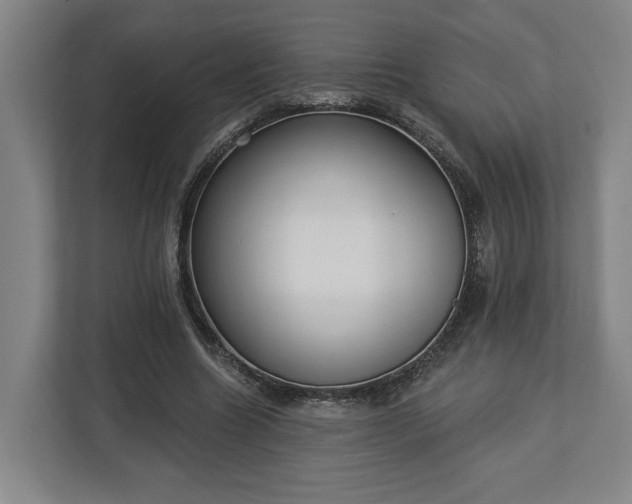 X0000113100538200909041228