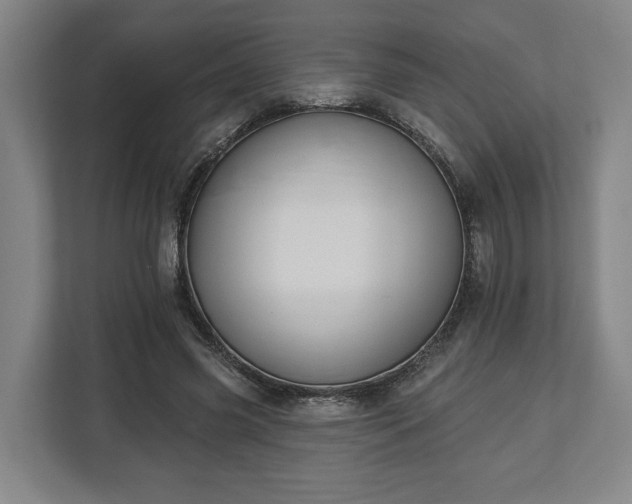 X0000113100541200909041228