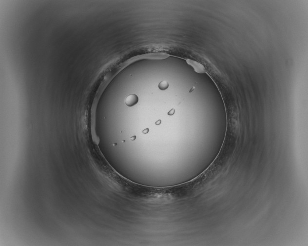 X0000113100543200909041228