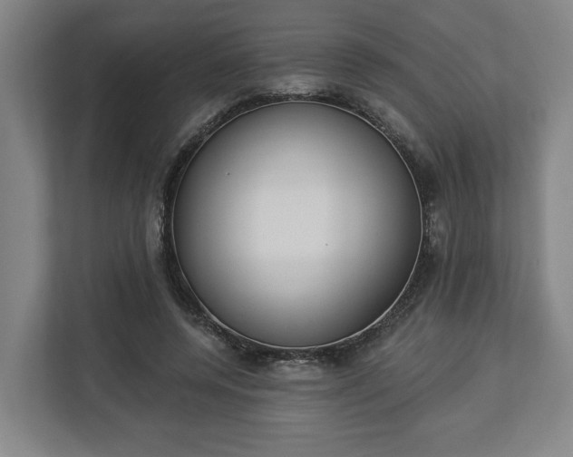 X0000113100544200909041228