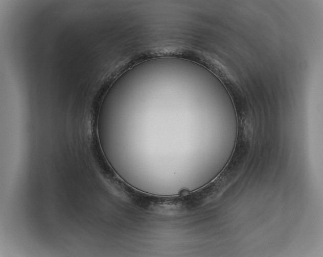 X0000113100546200909041228