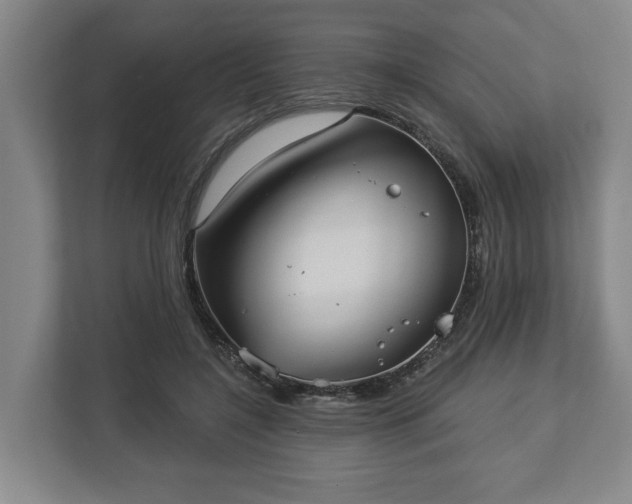 X0000113100548200909041228