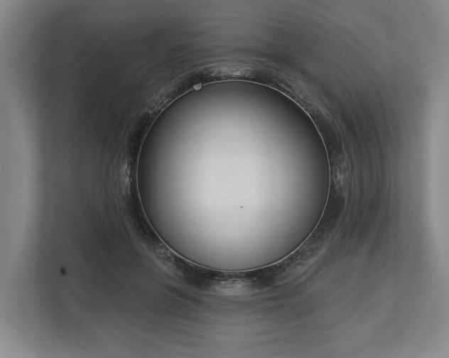 X0000113100551200909041228