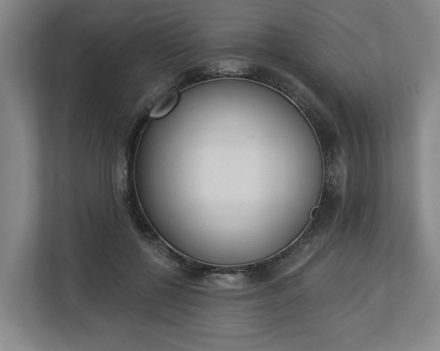 X0000113100552200909041228