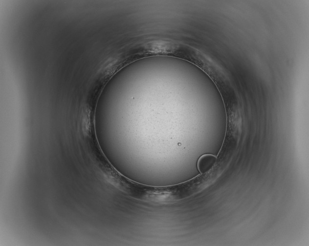 X0000113100554200909041228