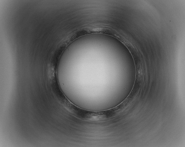 X0000113100555200909041228
